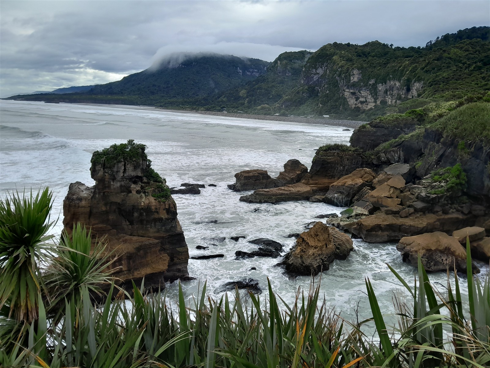 West Coast ~ Tuesday, 10 March